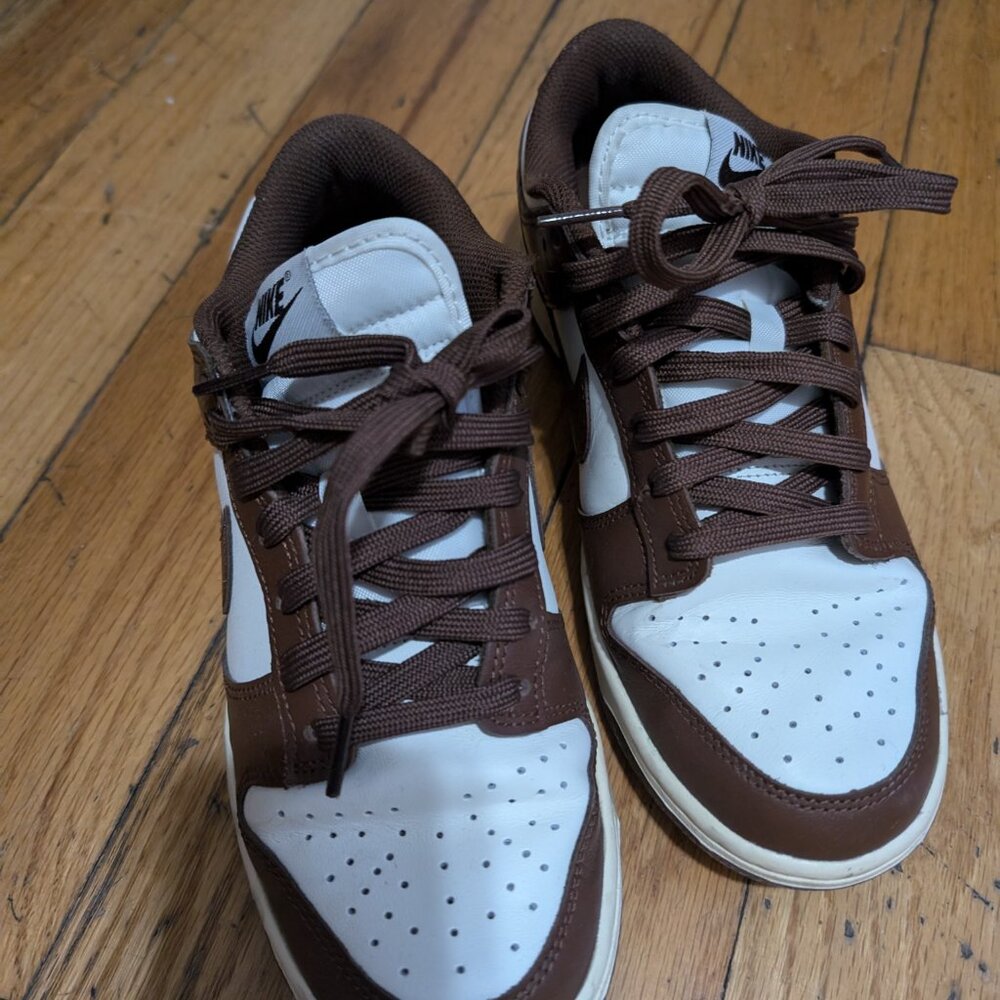 Nike Dunks (2025, like new)